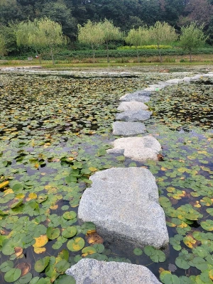 1741251297431-27.jpg?type=w773