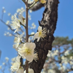 1741928407468-8.jpg?type=w773