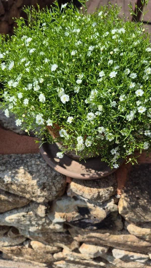 1744109041386-30.jpg?type=w773