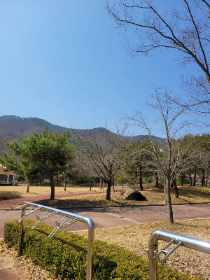 20250322_115628.jpg?type=w773