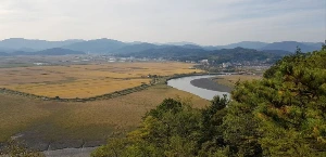 1741254977418-13.jpg?type=w773