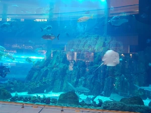 1741351361472-21.jpg?type=w773