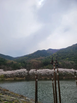 20250405_104223.jpg?type=w773