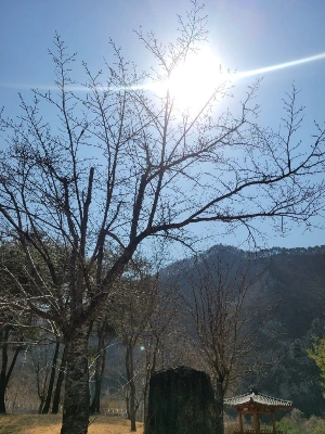 20250322_120815.jpg?type=w773