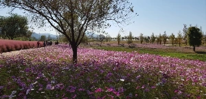 1741254977418-7.jpg?type=w773