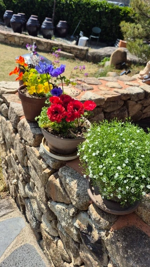 1744109041386-29.jpg?type=w773