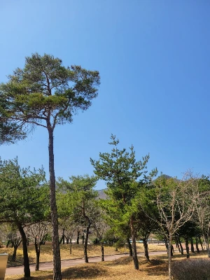 20250322_115528.jpg?type=w773