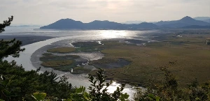 1741254977418-11.jpg?type=w773