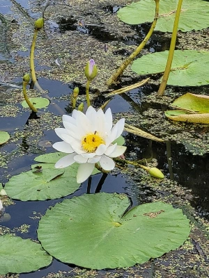 1741251297431-24.jpg?type=w773