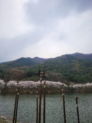 20250405_104208.jpg?type=w773