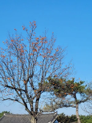 1741251297431-11.jpg?type=w1