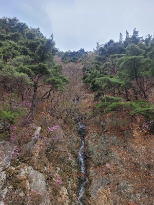 20250405_104431.jpg?type=w773