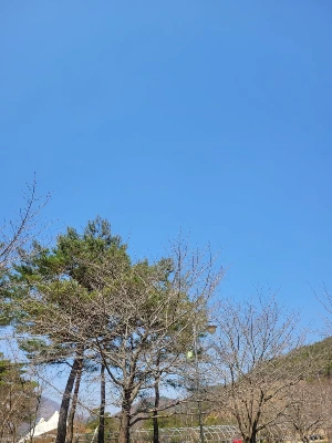 20250322_120155.jpg?type=w773