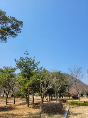 20250322_115524.jpg?type=w773