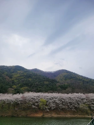 20250405_104558.jpg?type=w773