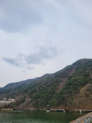 20250405_103907.jpg?type=w773