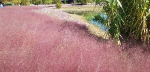 1741254977418-8.jpg?type=w773