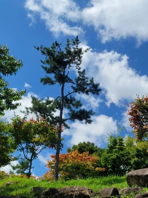 1741251261986-5.jpg?type=w773