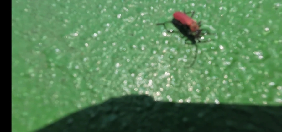 900%EF%BC%BFScreenshot%EF%BC%BF20250713%EF%BC%BF093644%EF%BC%BFGallery.jpg?type=w966