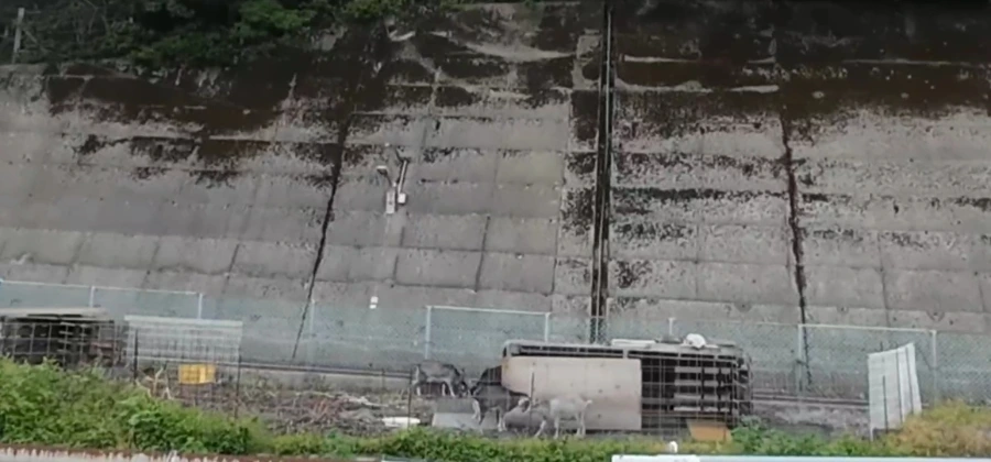 900%EF%BC%BFScreenshot%EF%BC%BF20250713%EF%BC%BF093853%EF%BC%BFGallery.jpg?type=w966