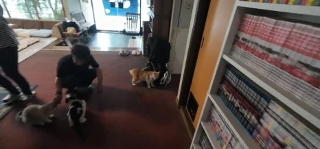 900%EF%BC%BFScreenshot%EF%BC%BF20250713%EF%BC%BF094116%EF%BC%BFGallery.jpg?type=w466