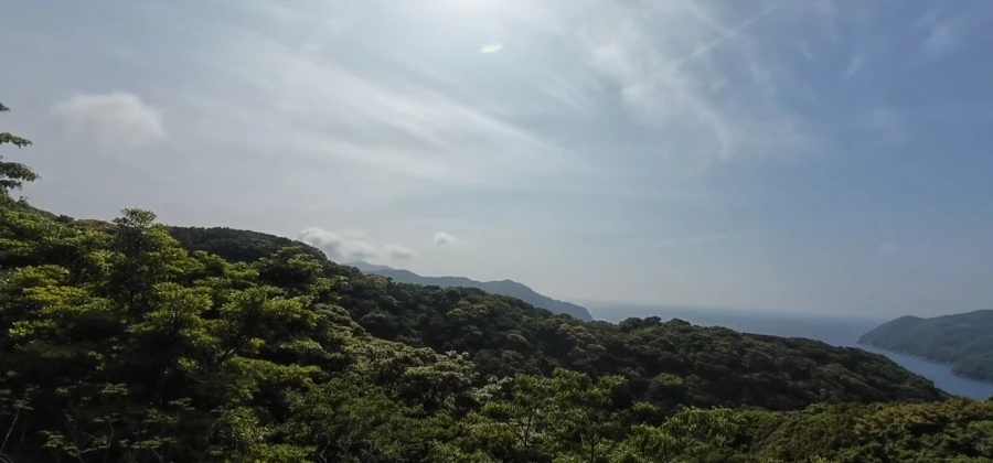 900%EF%BC%BFScreenshot%EF%BC%BF20250713%EF%BC%BF093802%EF%BC%BFGallery.jpg?type=w966