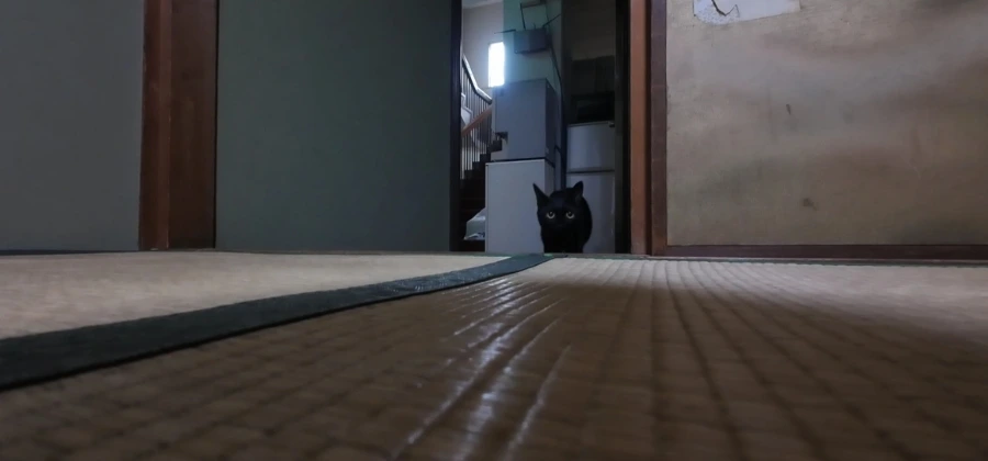 900%EF%BC%BFScreenshot%EF%BC%BF20250713%EF%BC%BF094042%EF%BC%BFGallery.jpg?type=w966