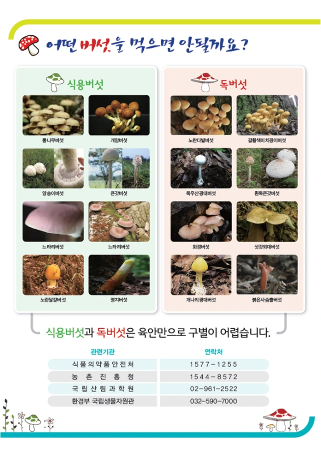 %B9%F6%BC%B82.png?type=w2