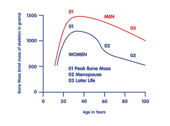 %B0%F1%B9%D0%B5%B5_%B1%D7%B7%A1%C7%C1.png?type=w3