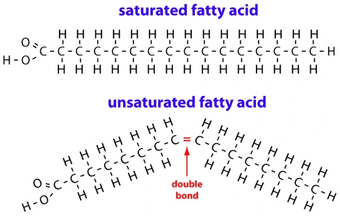 %BA%D2%C6%F7%C8%AD%C1%F6%B9%E6%BB%EA_%B1%B8%C1%B6%BD%C4.png?type=w3