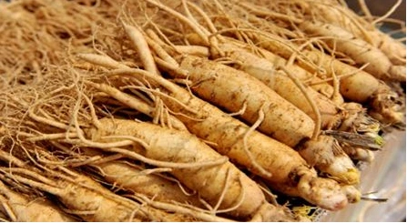 %C0%CE%BB%EF.png?type=w3