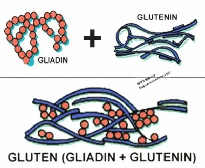 %B1%DB%B7%E7%C5%D9%C0%C7_%C7%FC%BC%BA.jpg?type=w3