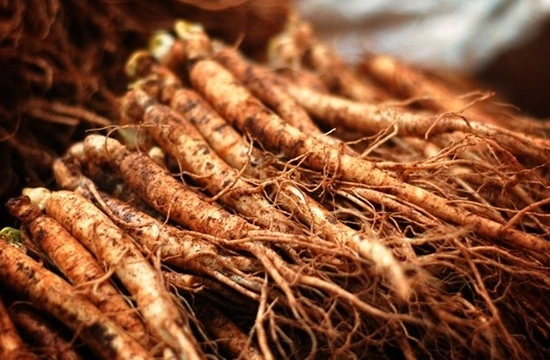 %C8%AB%BB%EF.png?type=w3