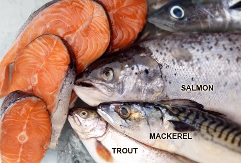 %BF%C0%B8%DE%B0%A13_%BB%FD%BC%B1.png?type=w3