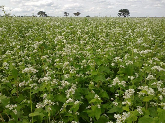 %B8%DE%B9%D0%B9%E7.png?type=w3