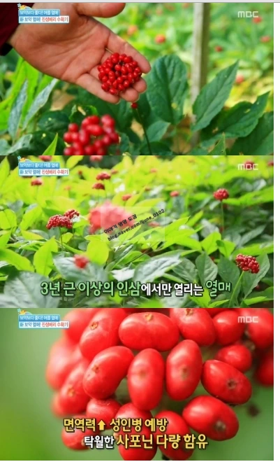 %C1%F8%BB%FD%BA%A3%B8%AE_%C1%C1%C0%BA_%BE%C6%C4%A7.png?type=w3