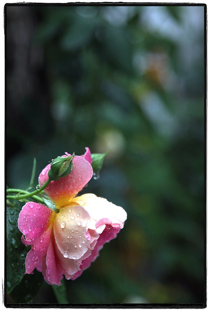 1744843813.898515 2.jpeg