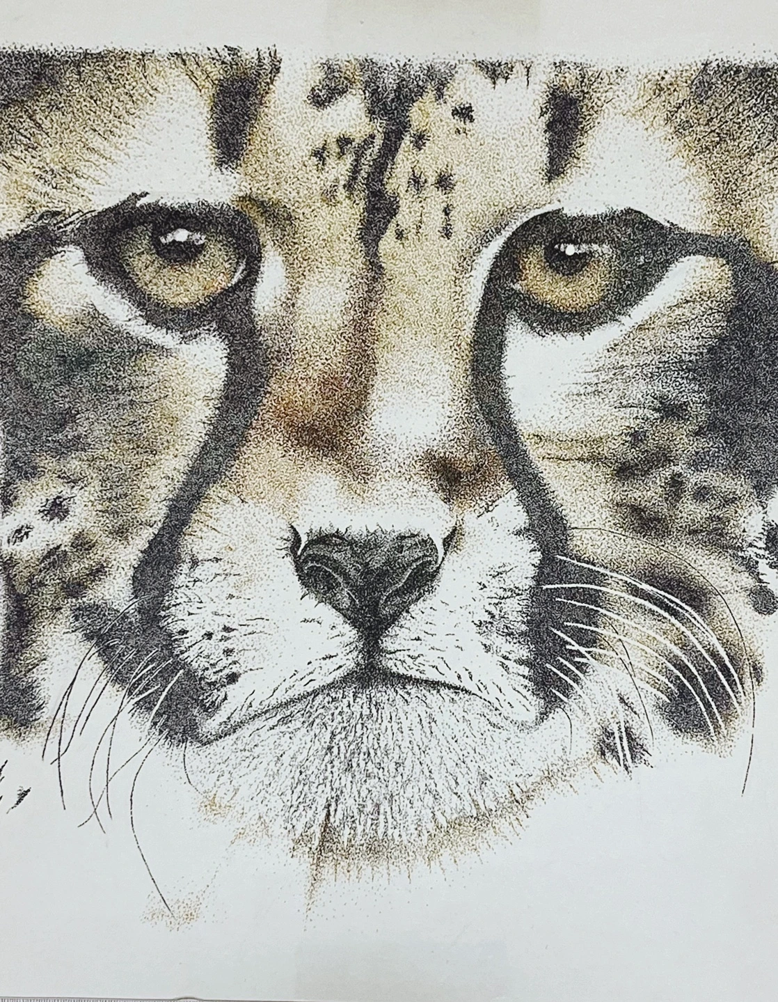 KakaoTalk_Photo_2025-07-11-22-17-23 002.jpeg