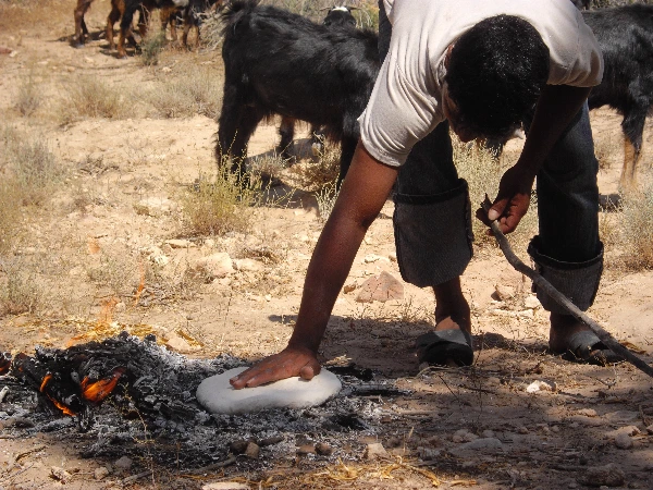 베두인 이동 (12).JPG