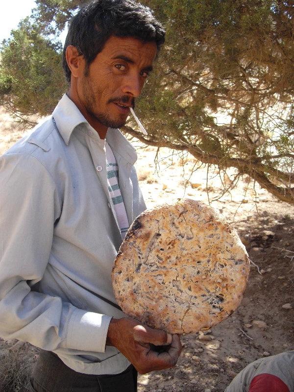 베두인 이동 (13).JPG