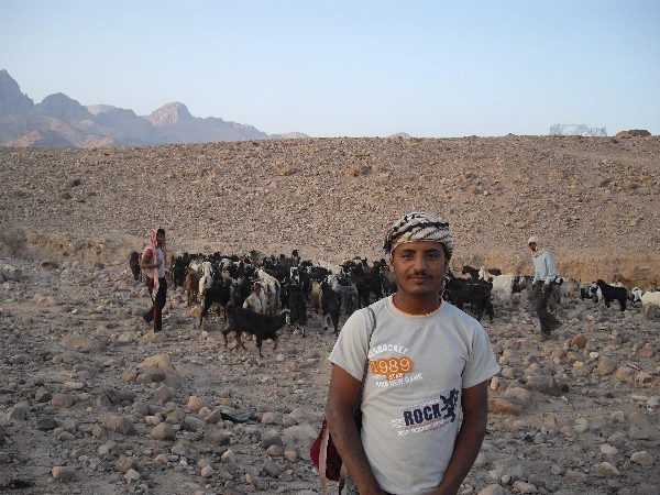 베두인 이동 (4).JPG