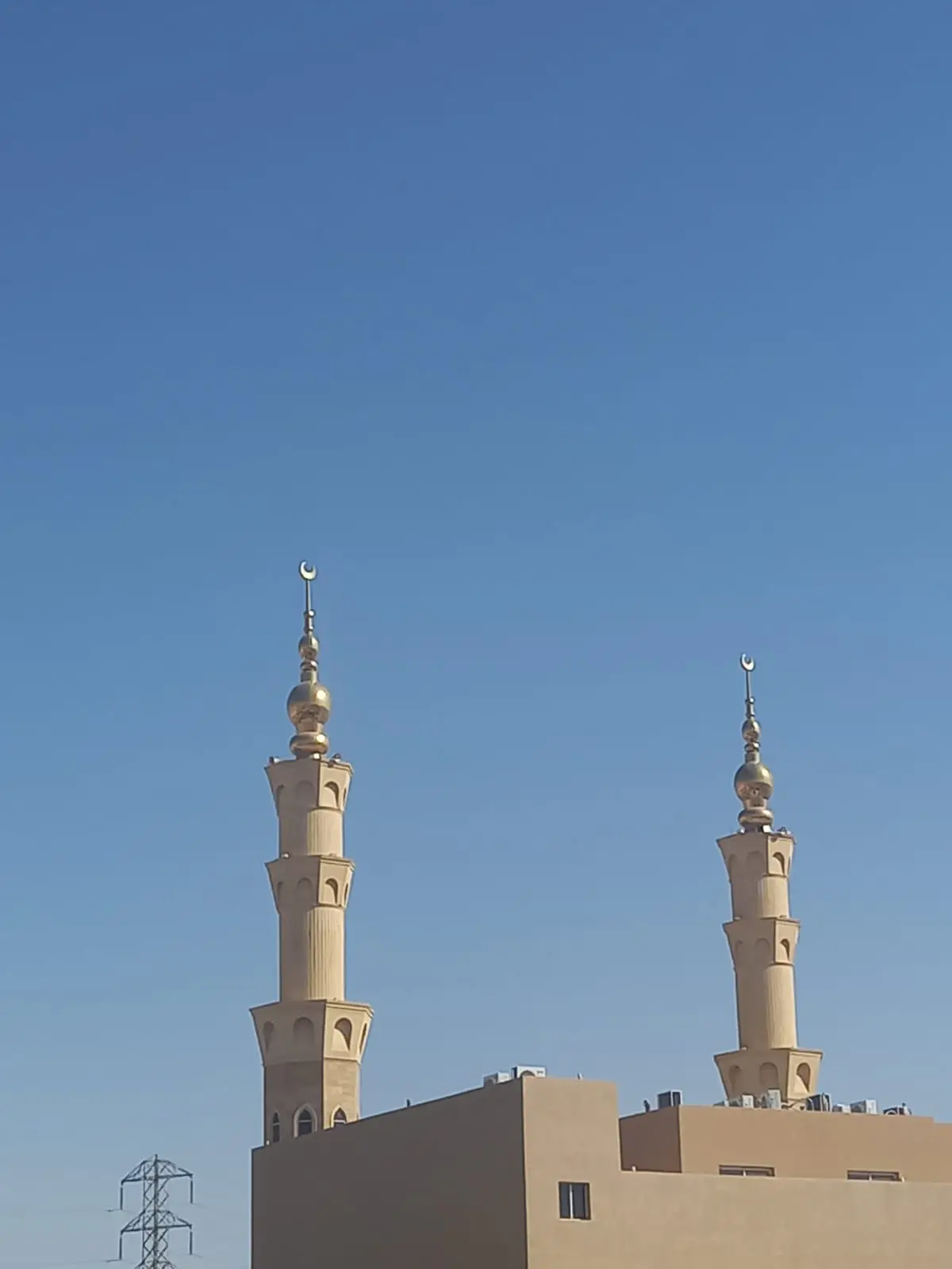 WhatsApp Image 2025-04-26 at 7.06.42 AM.jpeg