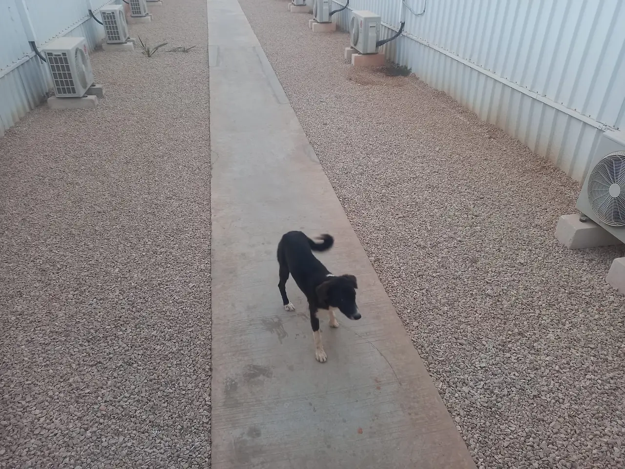 WhatsApp Image 2025-04-27 at 5.13.21 PM.jpeg