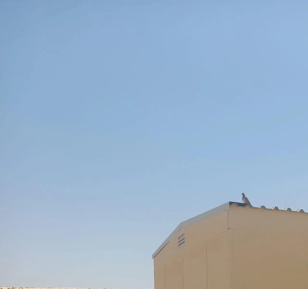 WhatsApp Image 2025-04-27 at 7.34.53 AM.jpeg