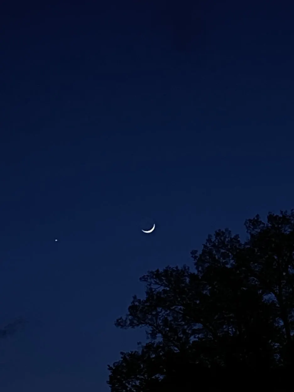 IMG_7407.JPG?type=w1