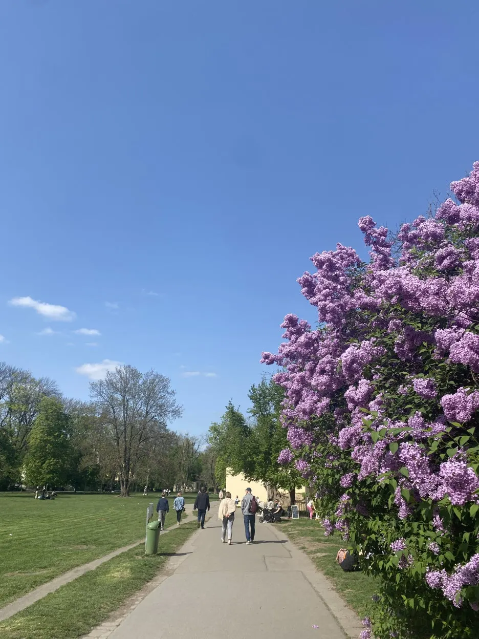 IMG_7507.JPG?type=w1