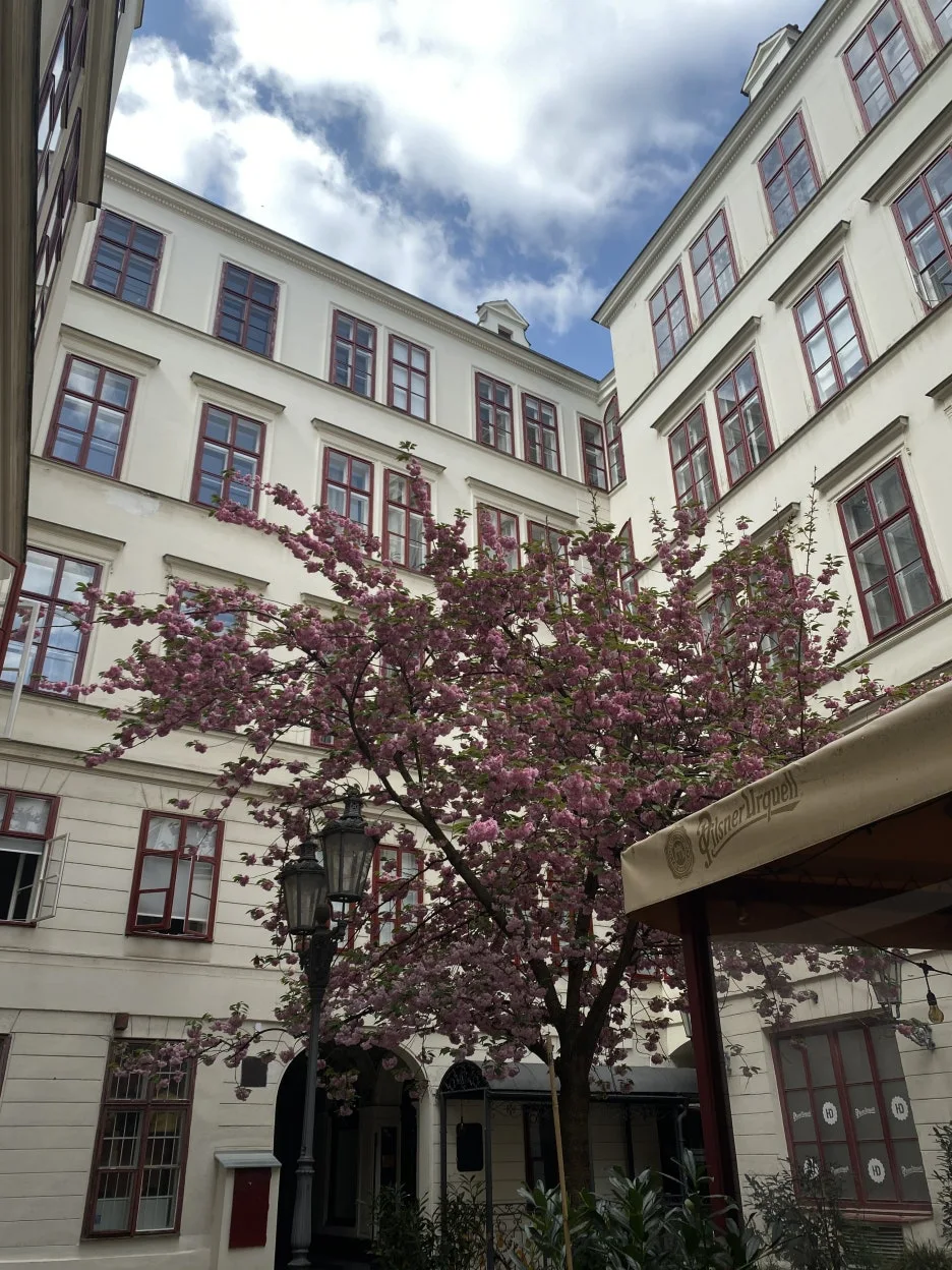 IMG_7466.JPG?type=w1