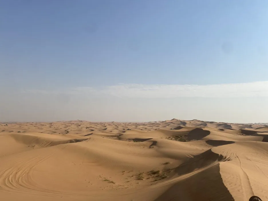 IMG_6519.JPG?type=w1