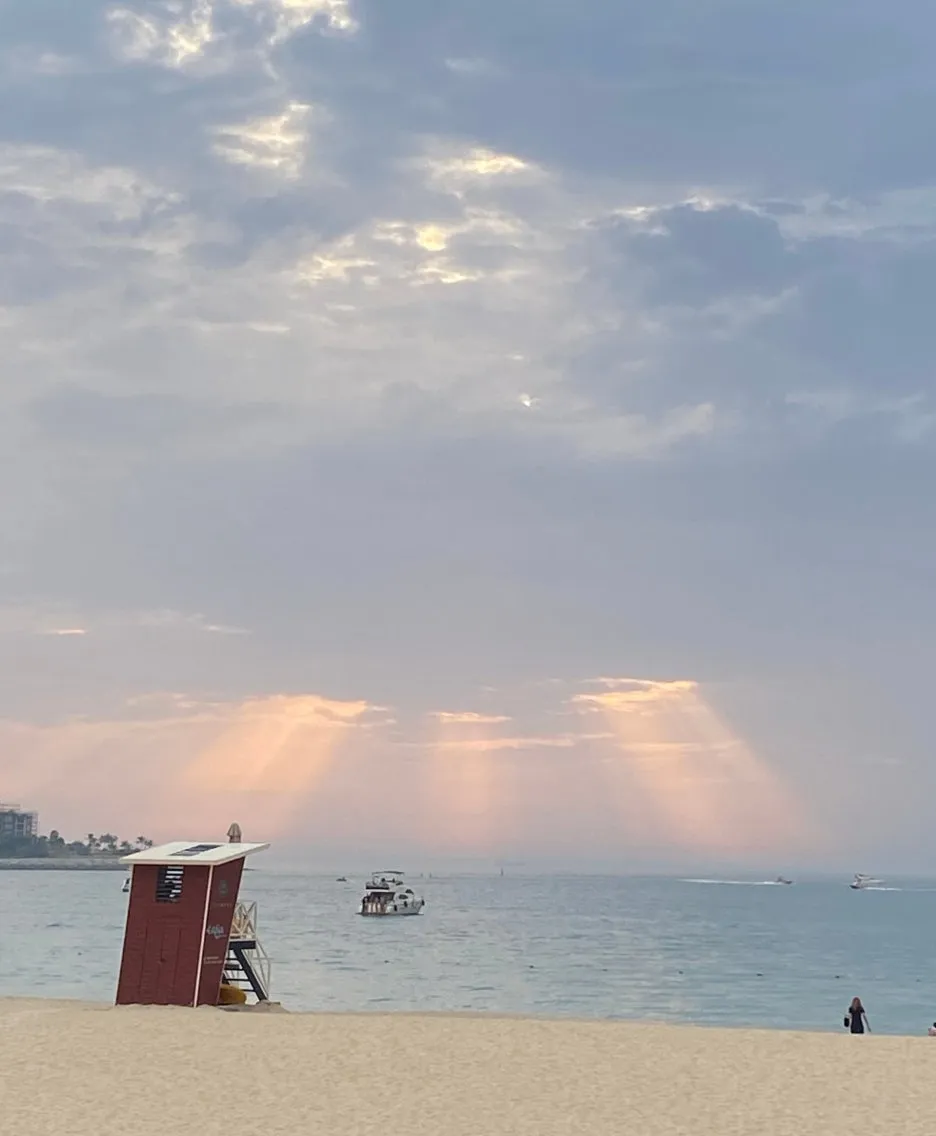 SE-12de8b2a-5230-4f46-a9ea-8496e3becb5b.jpg?type=w1