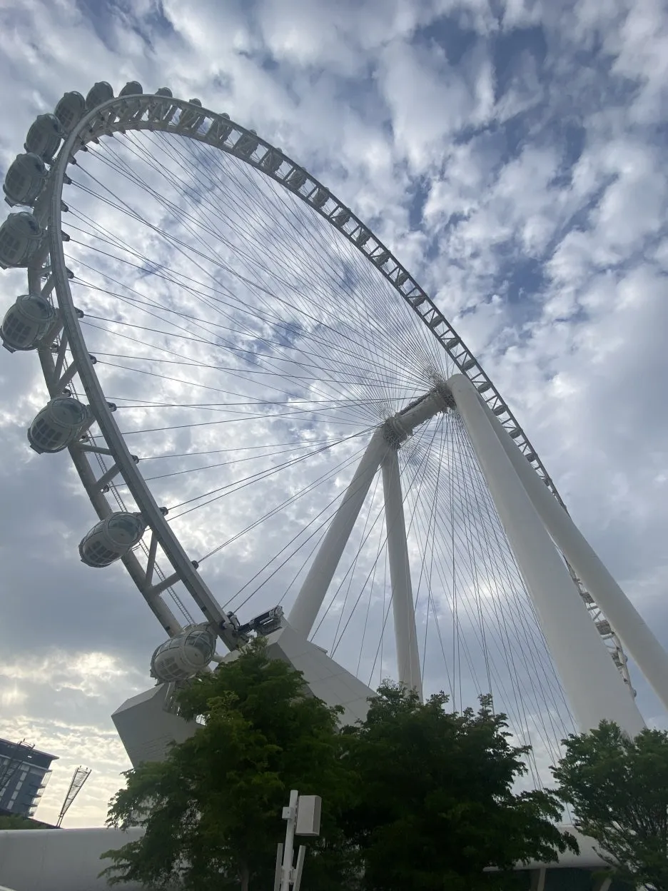 IMG_6851.JPG?type=w1